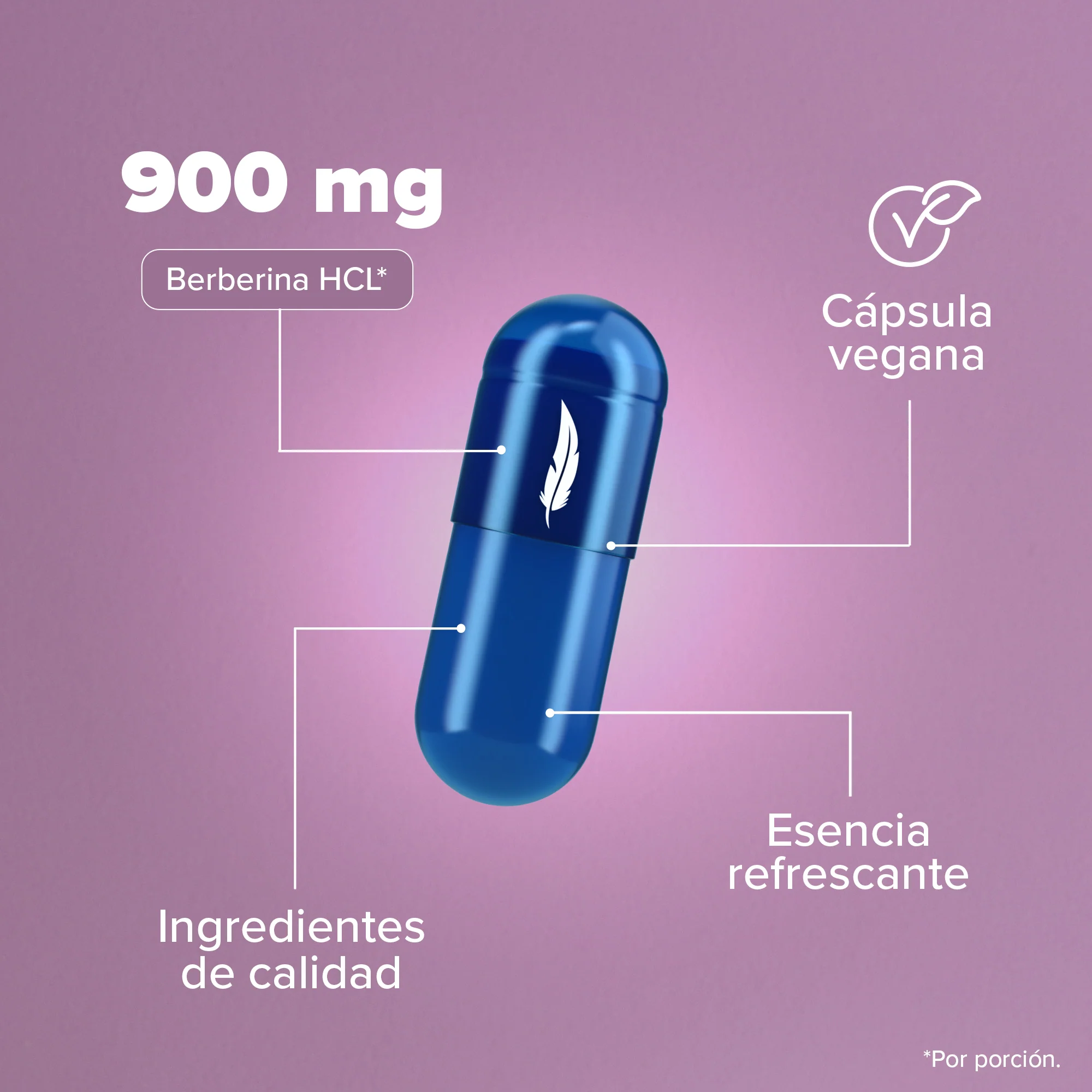 Berberina HCL - 180 Cápsulas - 90 Porciones - Pack - Image 6