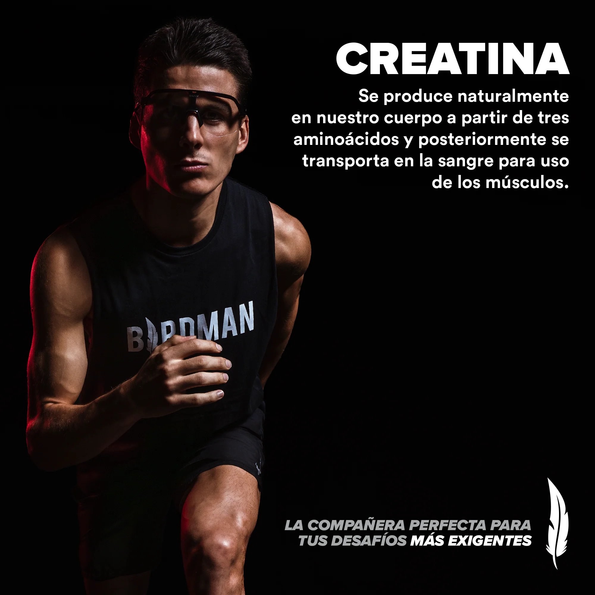 Creatina Monohidratada 450 g - 90 Servicios pack - Image 6