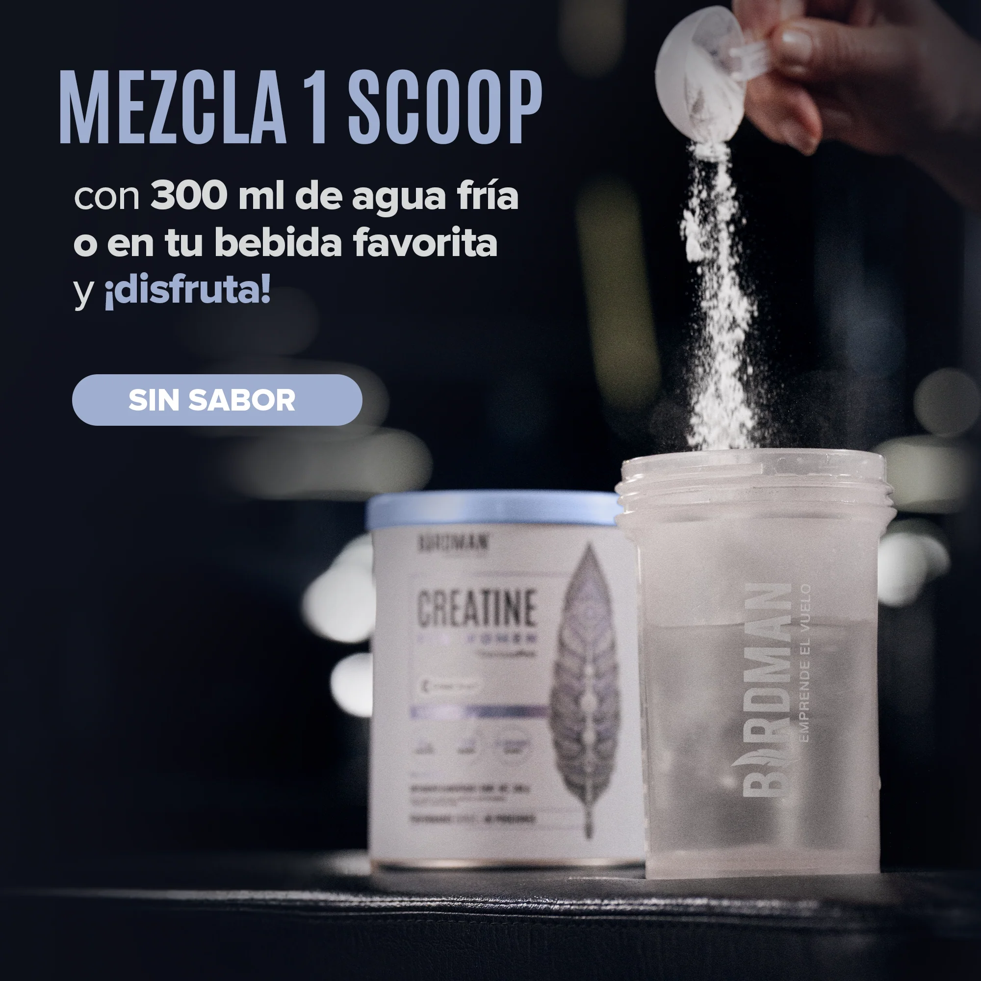 Creatine for Women - Sin Sabor - BUNDLE - Image 6
