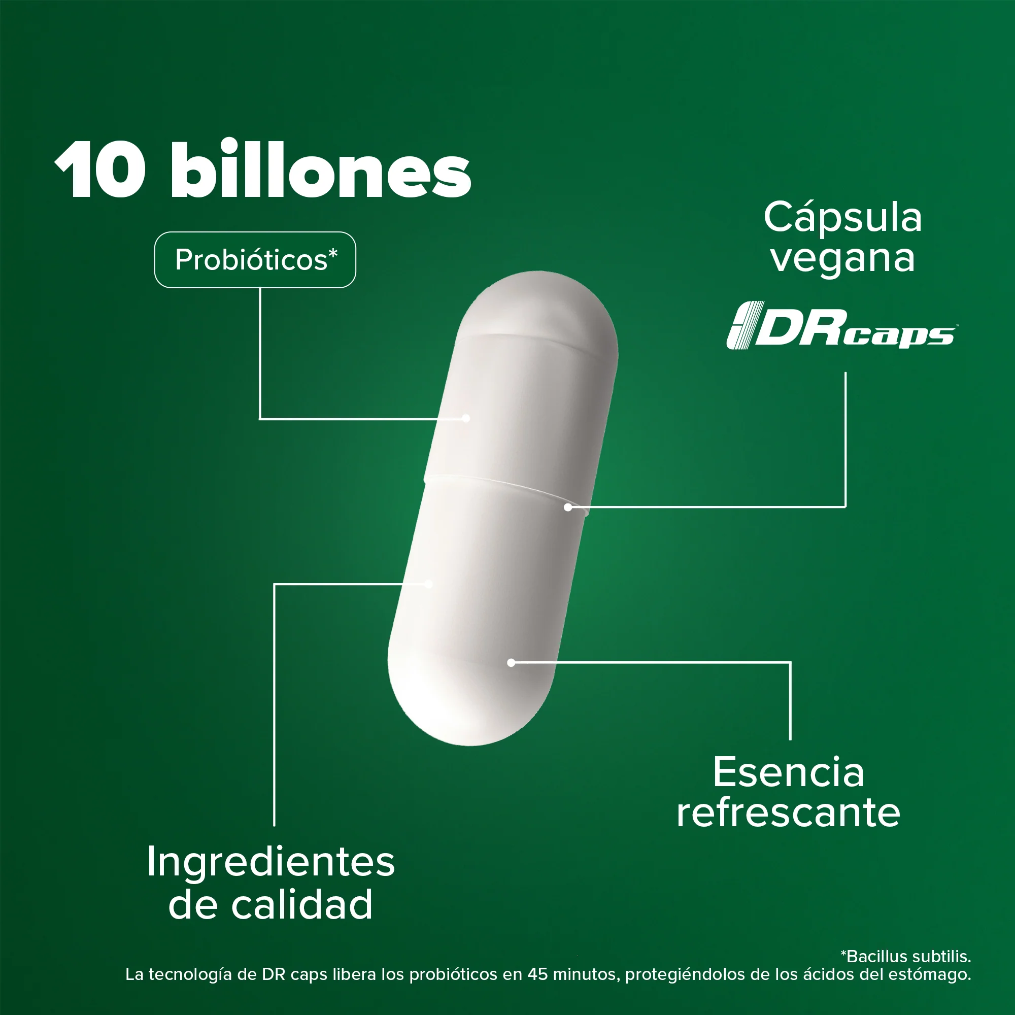 Daily Spore Probiotic - Probióticos con 10 Billones de UFC - 70 Porciones - Pack - Image 6
