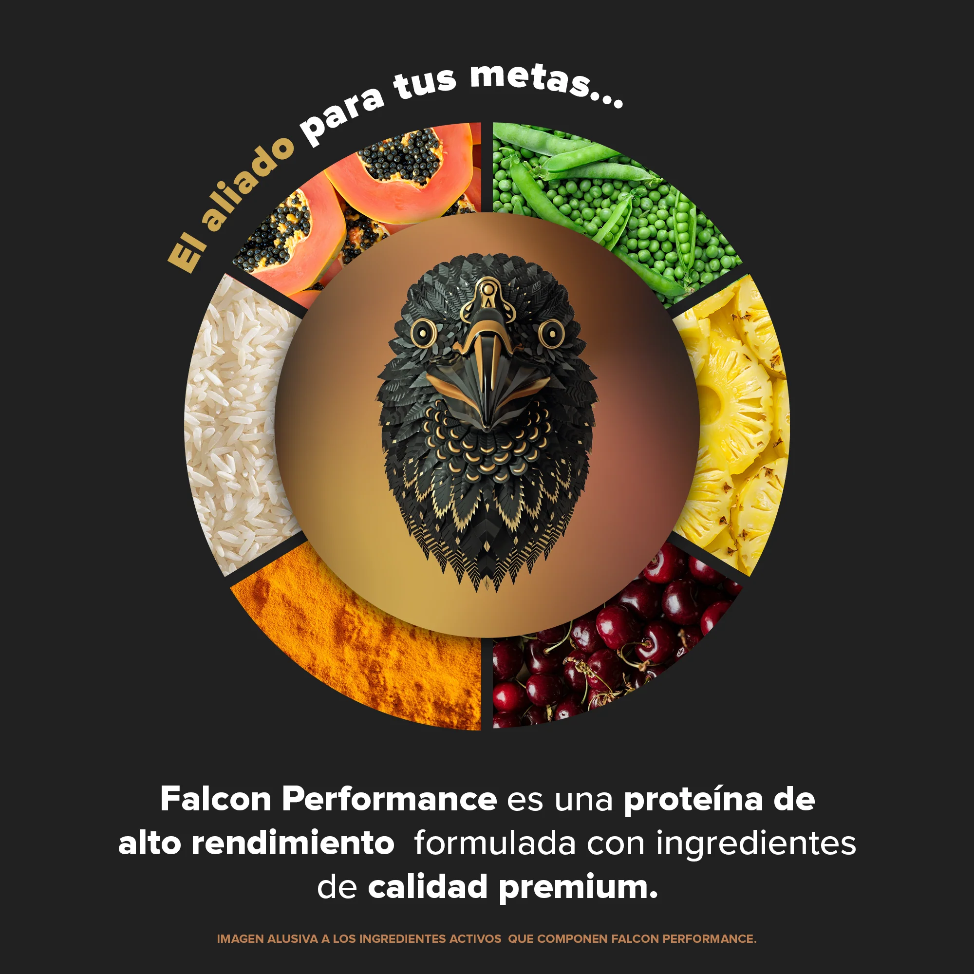 Falcon Performance Golden Vanilla 1.9 kg - 45 Servicios pack - Image 5