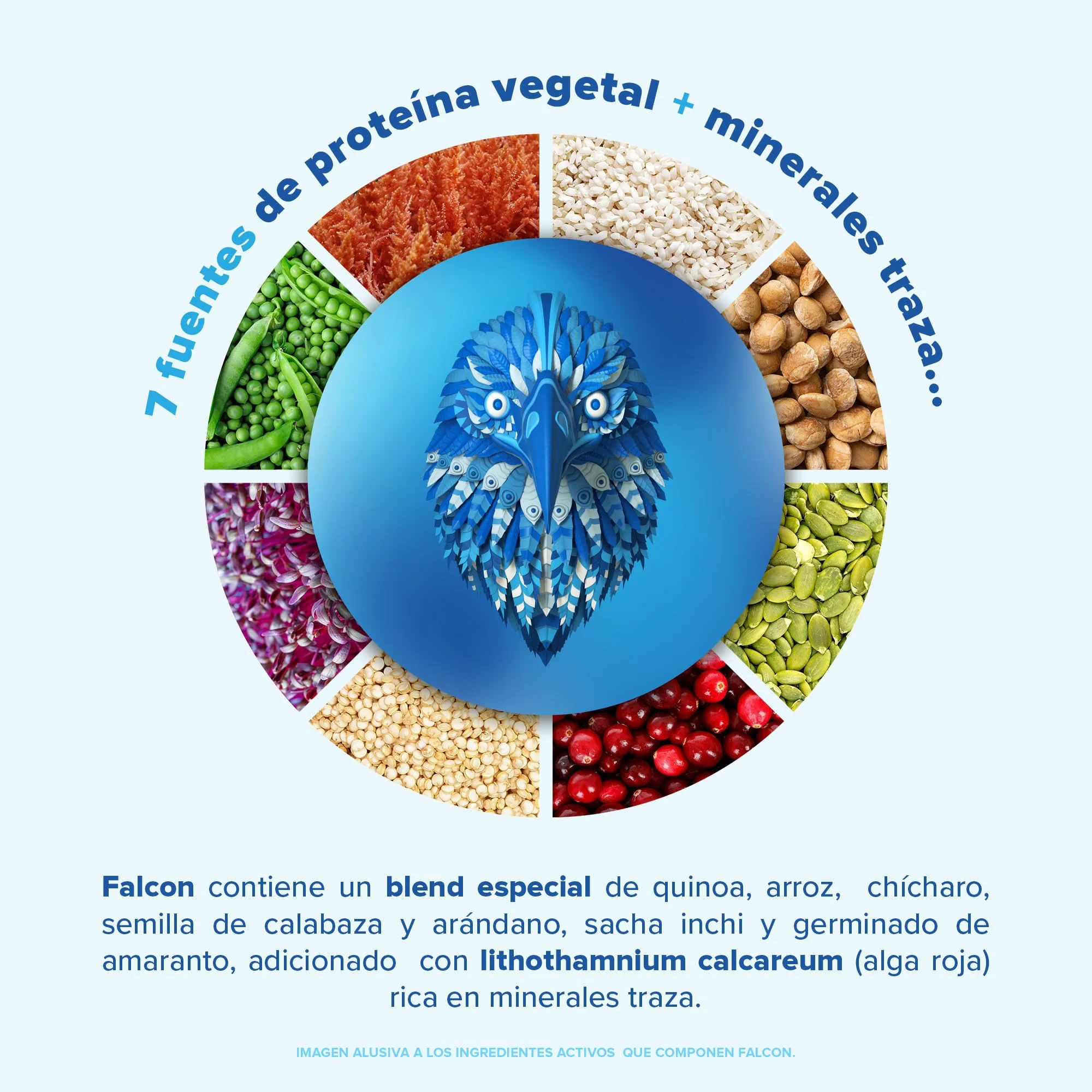 Falcon Protein Natural 1.17 kg - PACK - Image 4