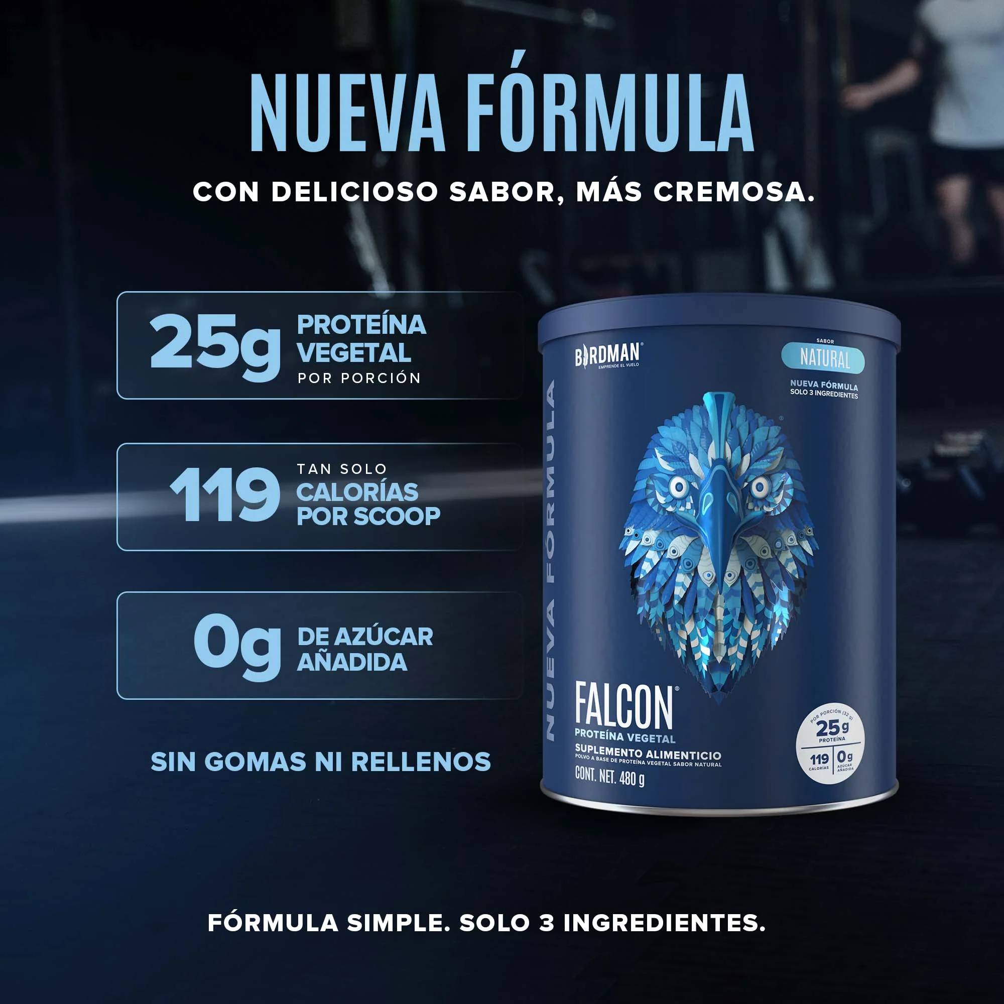 Falcon Protein - Nueva Fórmula - Natural 480 g - Image 3