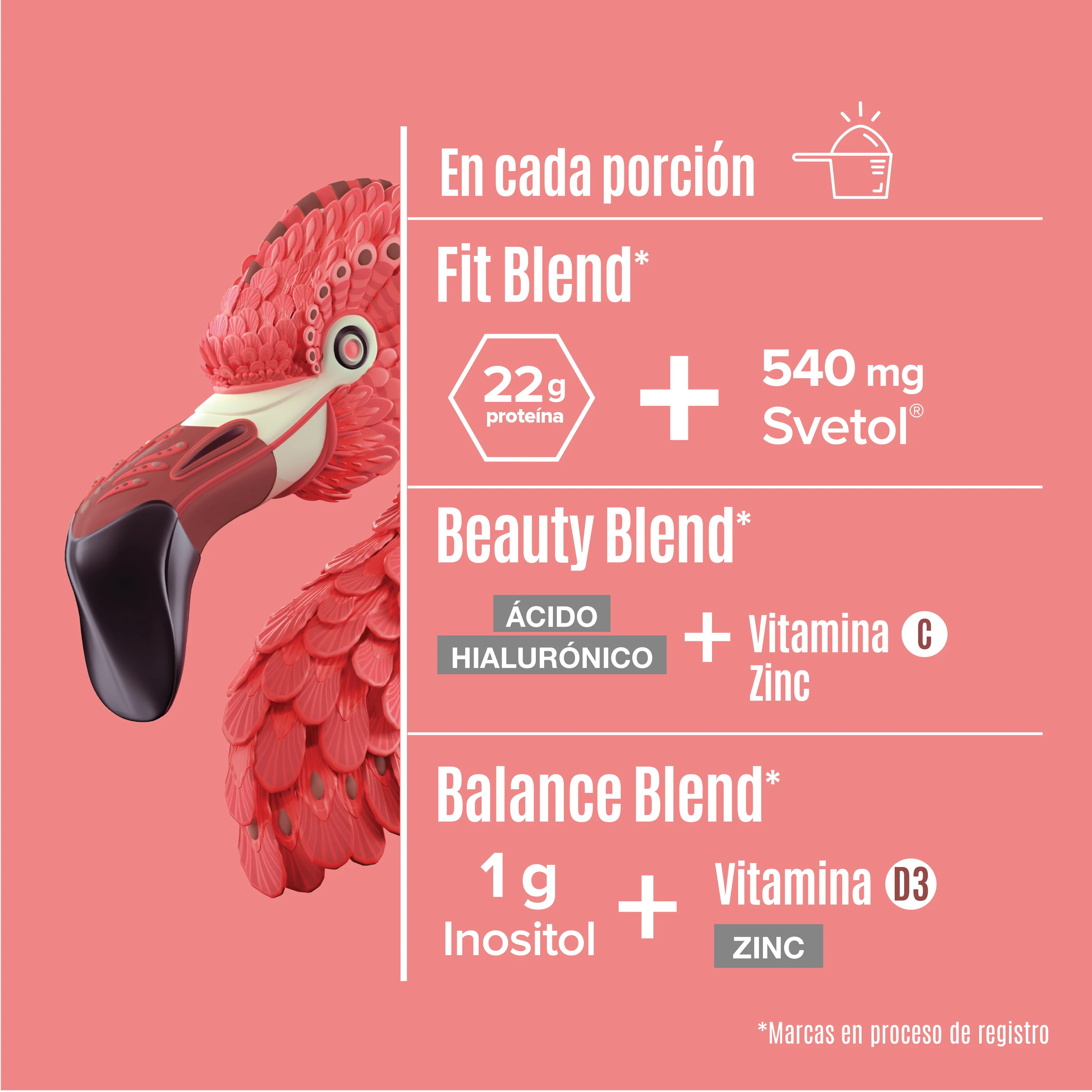 Fitmingo Protein Moka 510 g - 15 Servicios pack feb - Image 4