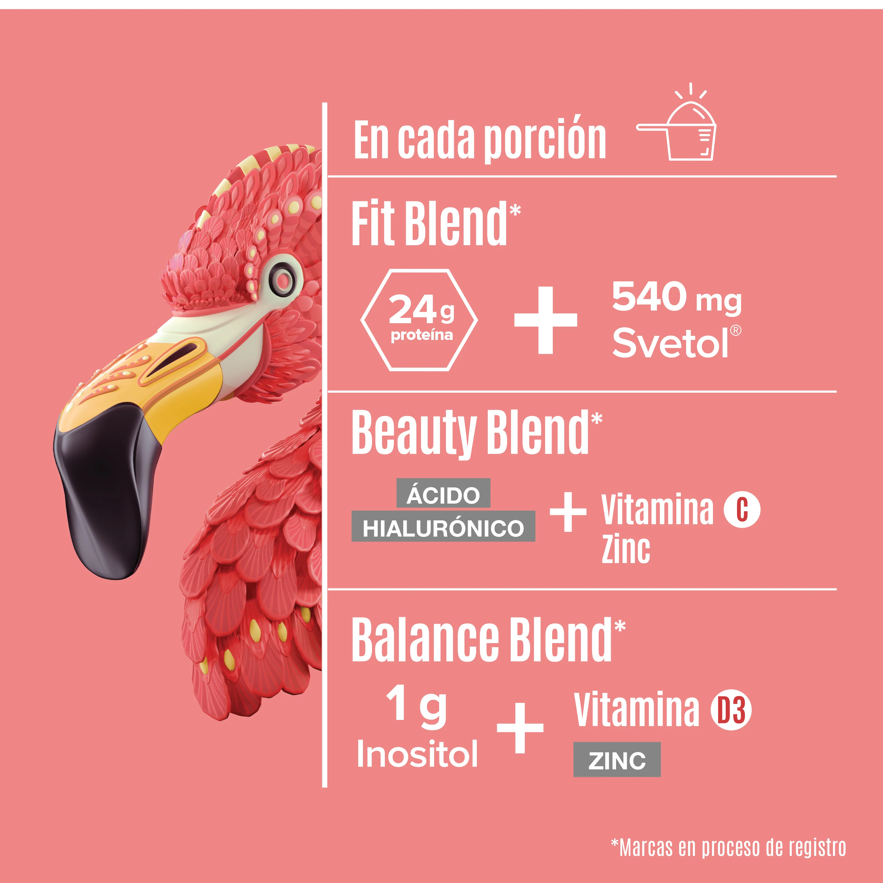 Fitmingo Protein Vainilla 1.02 kg - 30 Servicios - Pack - Image 4