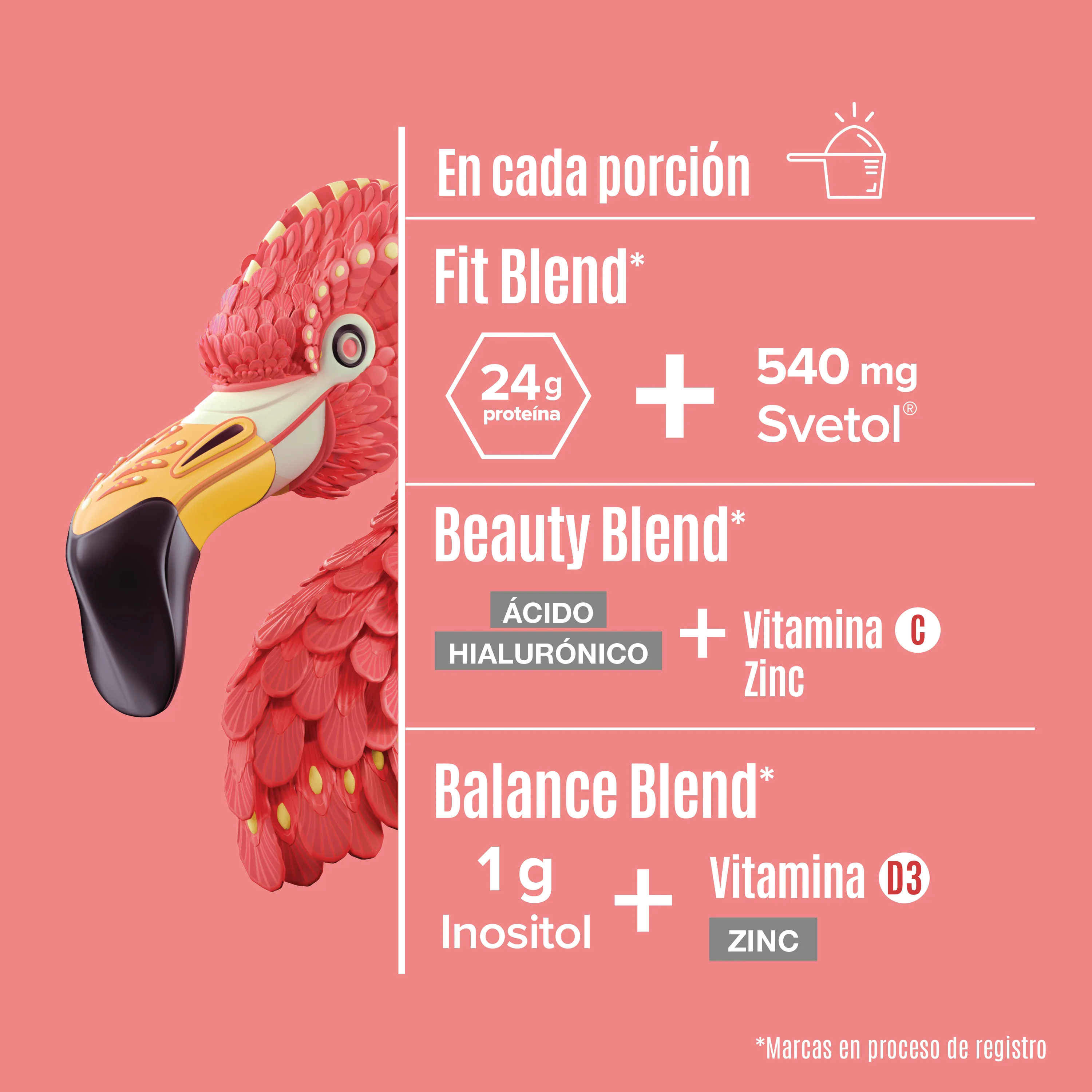 Fitmingo Protein Vainilla 1.7 kg pack - Image 5