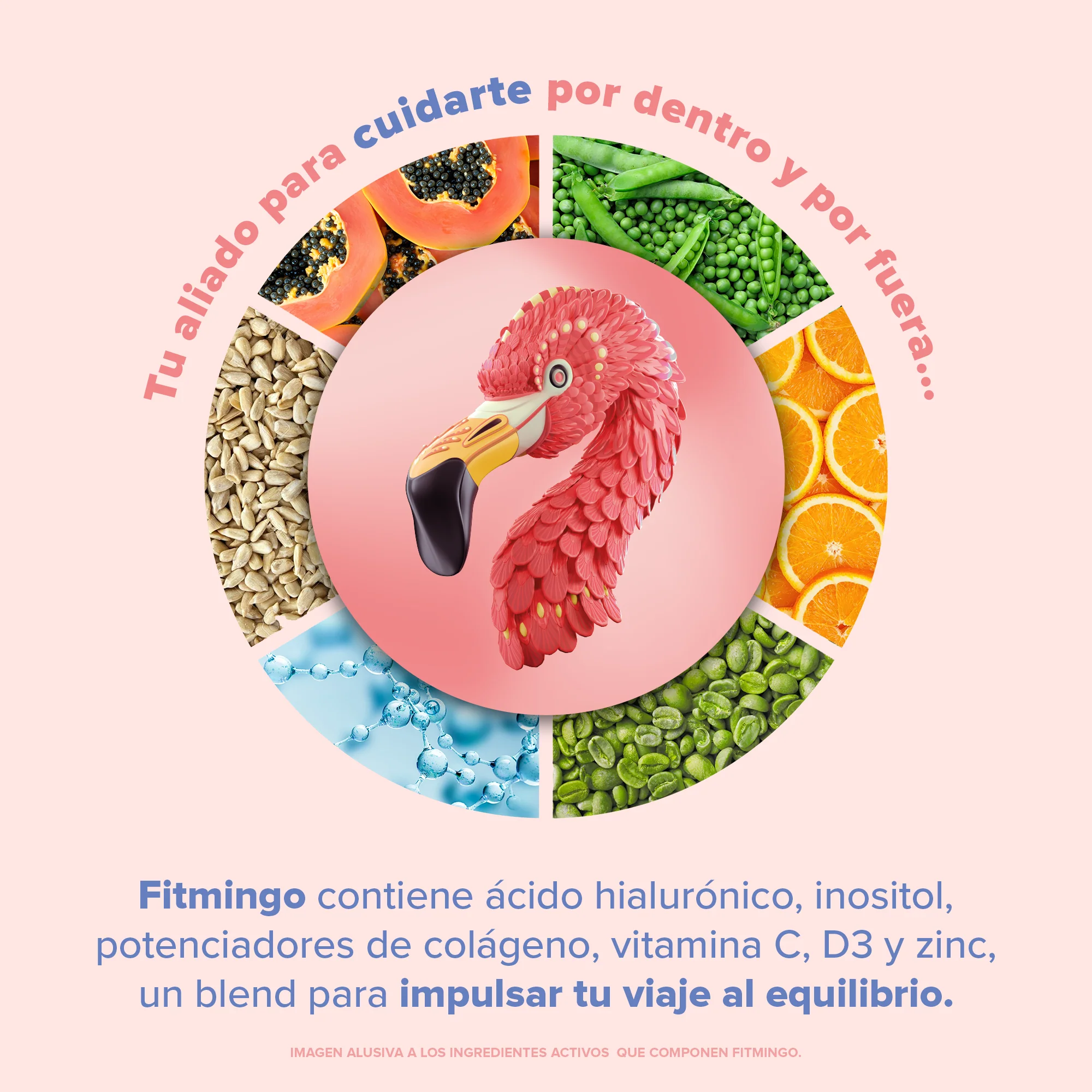 Fitmingo Protein Vainilla 1.7 kg pack - Image 7