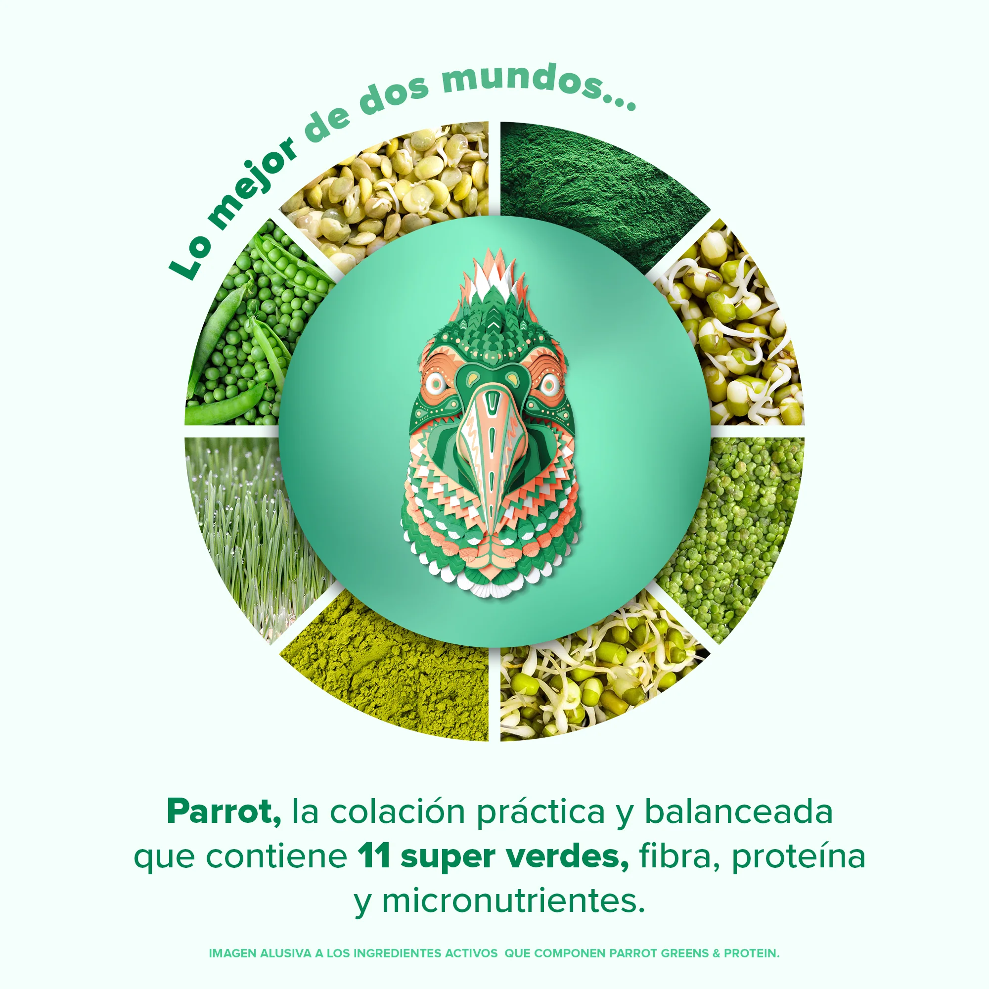 Parrot Greens & Protein Proteína en Polvo con Verdes & Vitaminas - Matcha 12 Pack Sobres - Image 6