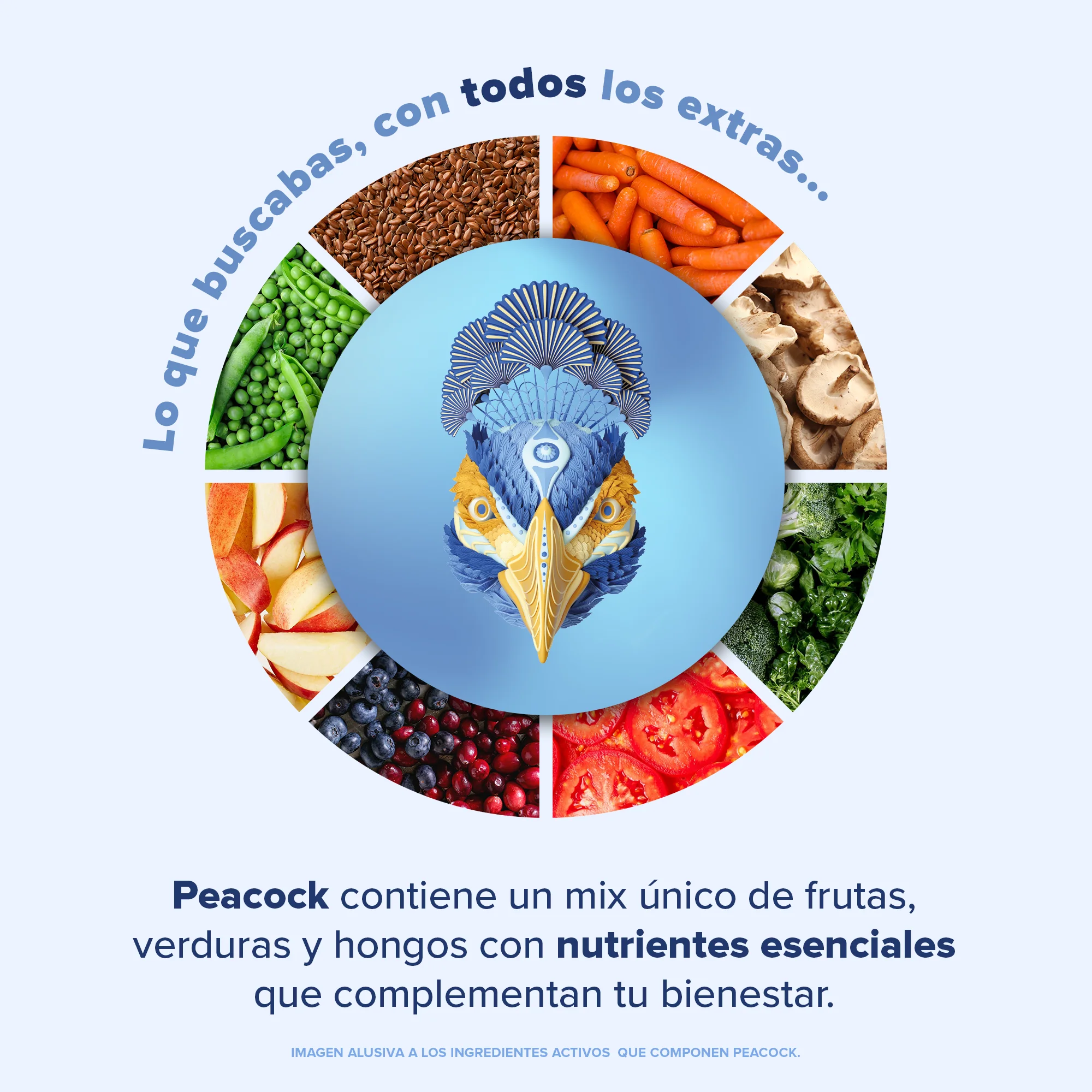 Peacock Plant Meal Proteína en Polvo con 11 Vitaminas & Omega 3 - Chocolate 882 g - Image 5
